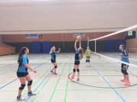 volley (17)